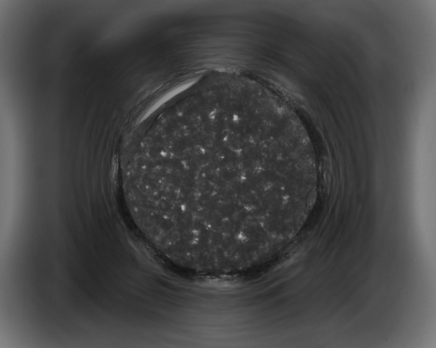 X0000084580550200703231845