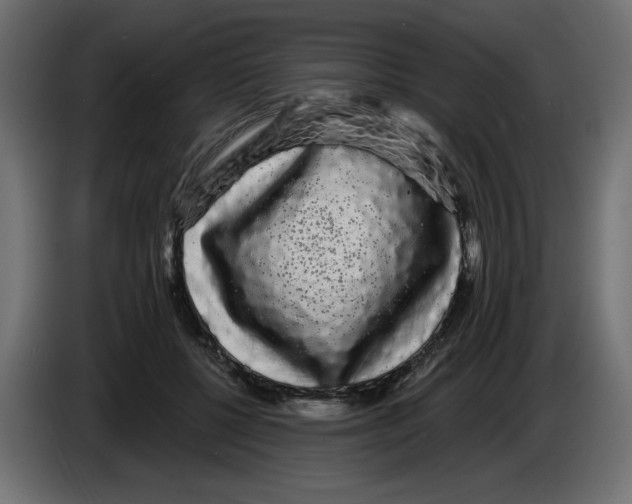 X0000084580552200703231845