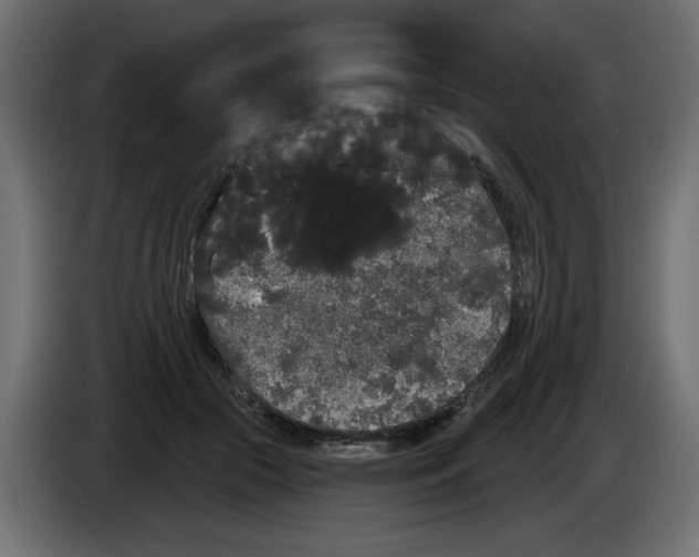 X0000084580553200703231845