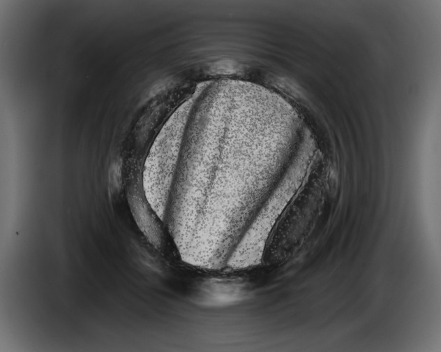 X0000084580556200703231846