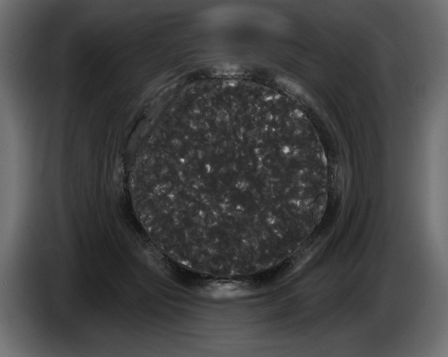 X0000084580557200703231846