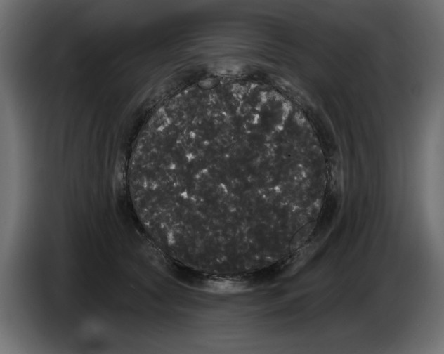 X0000084580561200703231846
