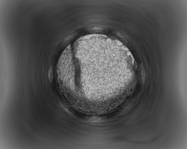 X0000084580562200703231846