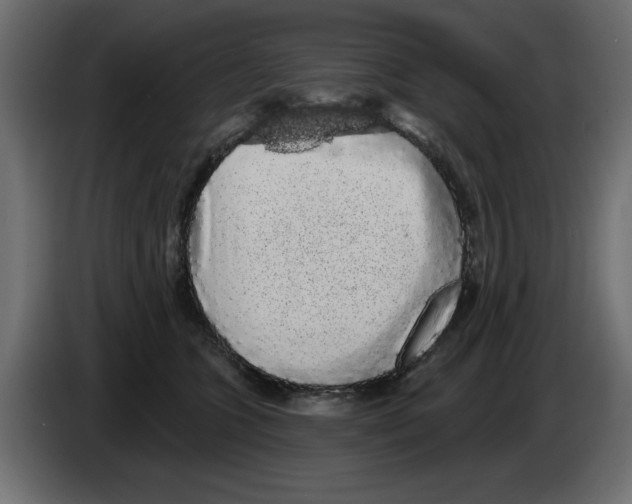 X0000084580563200703231846