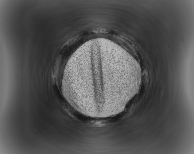 X0000084580564200703231846