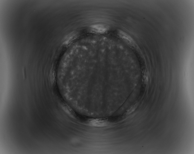 X0000084580568200703231846