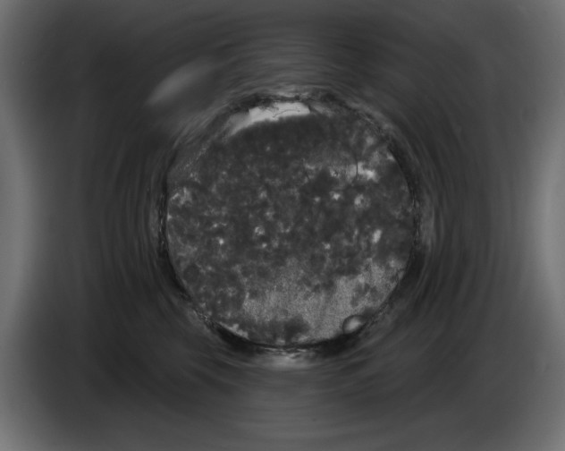 X0000084580569200703231846