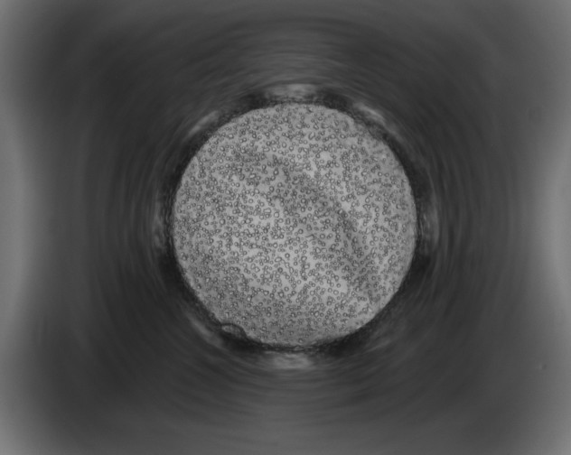 X0000084580572200703231846