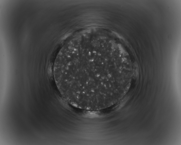 X0000084580573200703231846