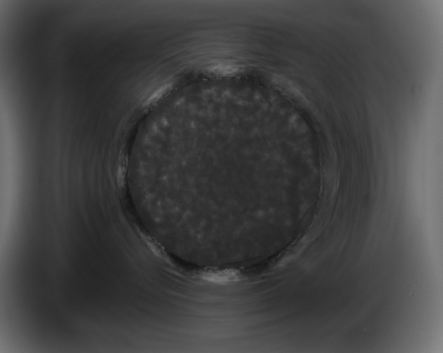 X0000084580576200703231846