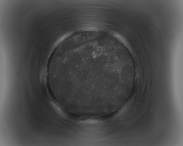 X0000084580578200703231845