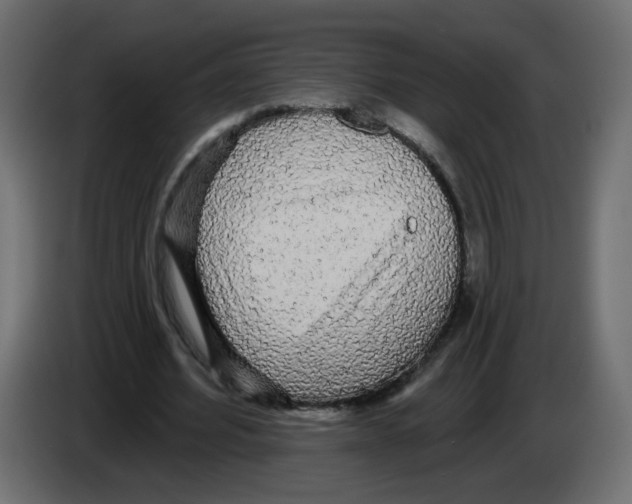 X0000084580580200703231845