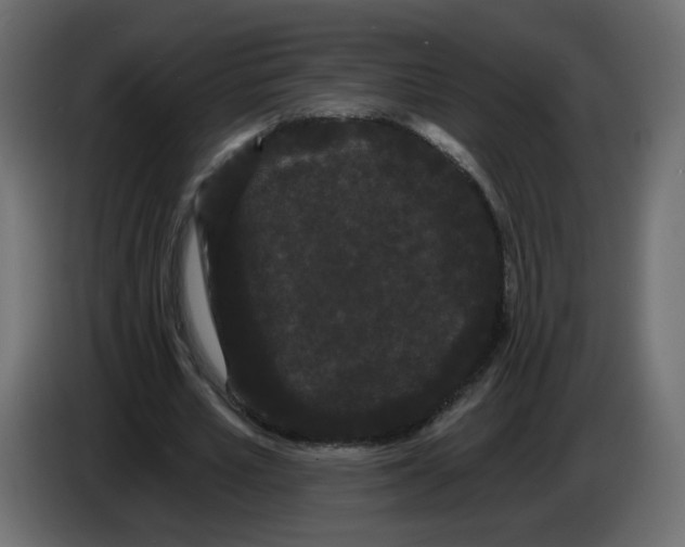 X0000084580581200703231845
