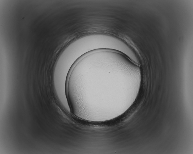 X0000084580585200703231845