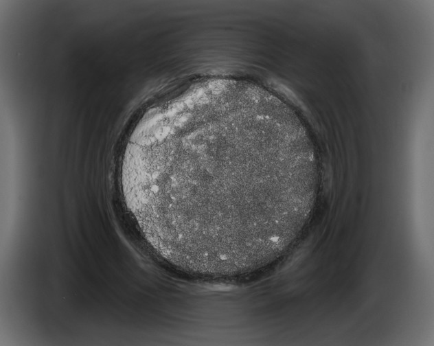 X0000084580586200703231845