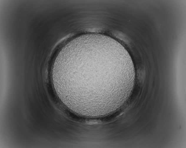 X0000084580587200703231845