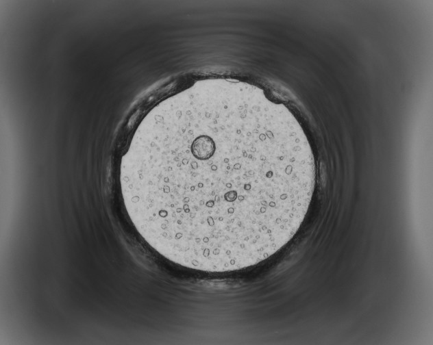 X0000084580588200703231845