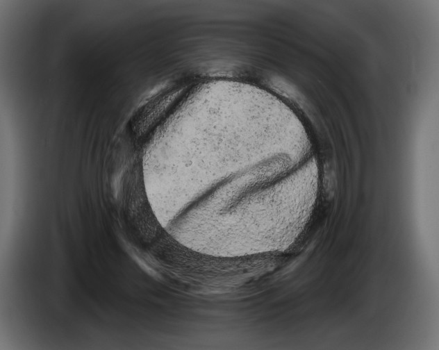 X0000084580589200703231845