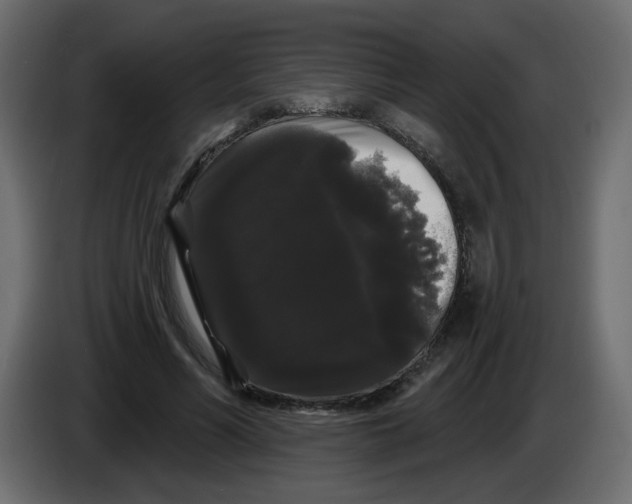 X0000084580590200703231845
