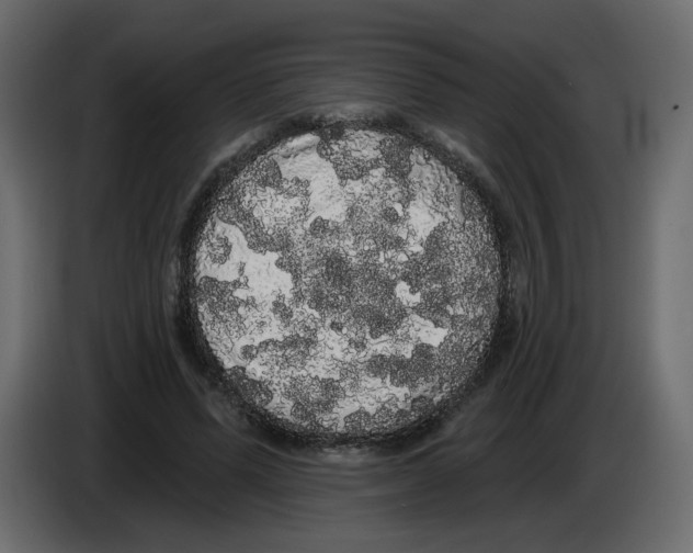 X0000084580591200703231845