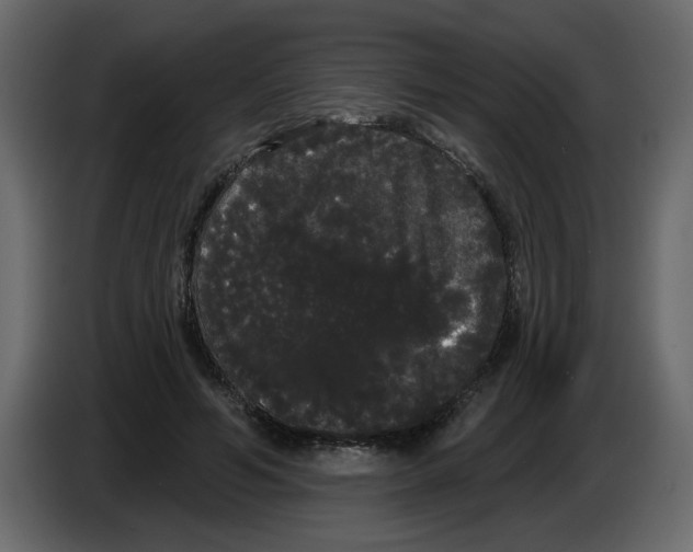 X0000084580594200703231845