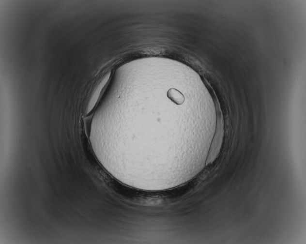 X0000084580600200703231845