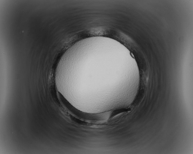 X0000084580601200703231845