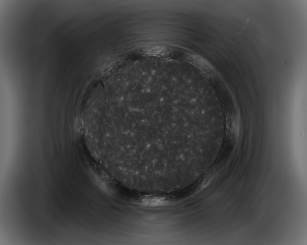 X0000084580602200703231845