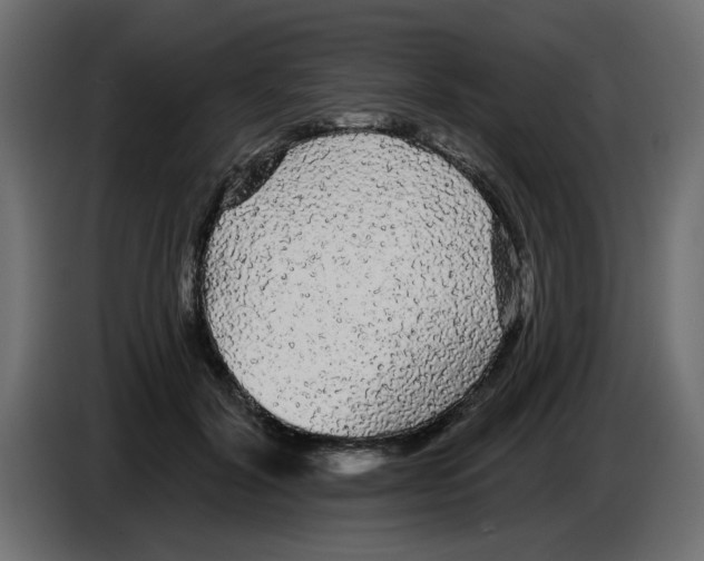 X0000084580604200703231845