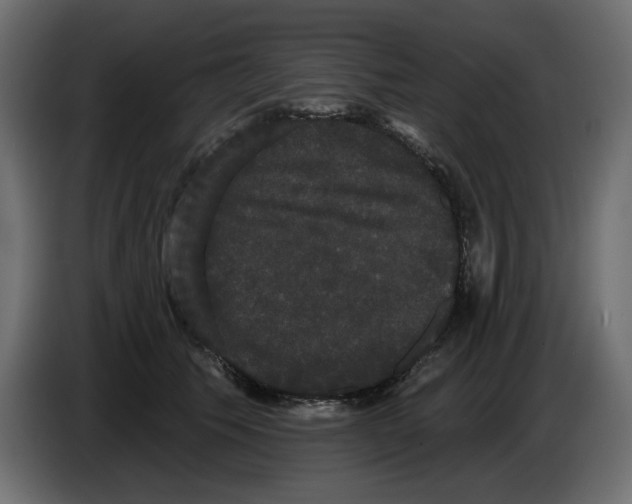 X0000084580609200703231845