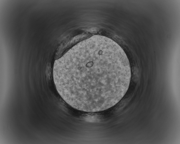 X0000084580612200703231845