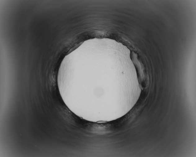 X0000084580613200703231845