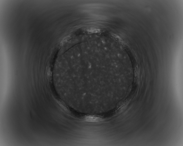 X0000084580614200703231845