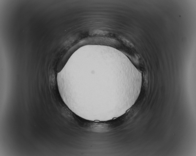 X0000084580617200703231845