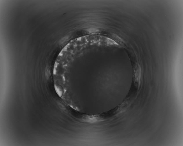 X0000084580618200703231845