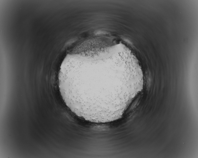 X0000084580619200703231845