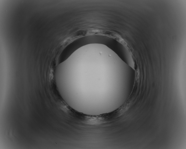 X0000084580621200703231845