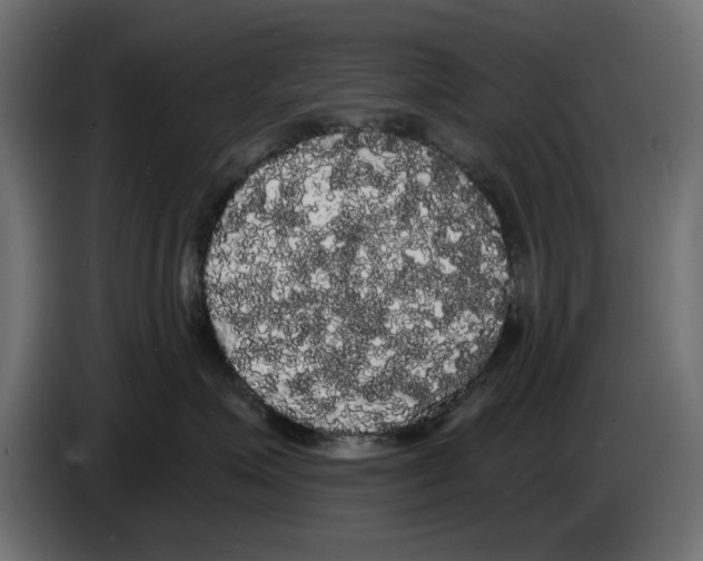 X0000084580623200703231844