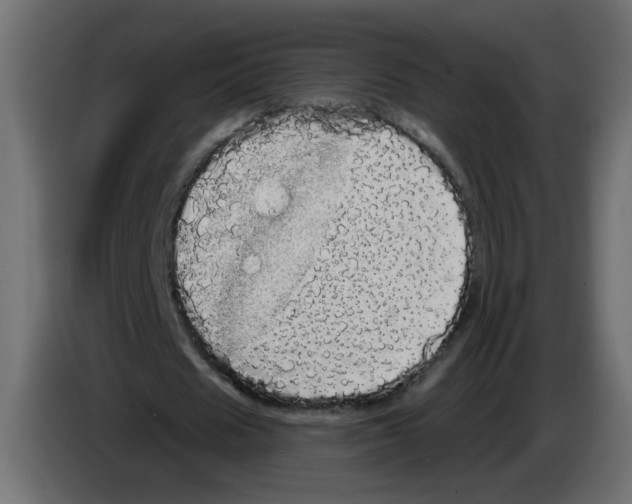 X0000084580625200703231844