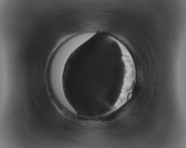 X0000084580626200703231844