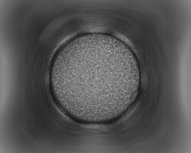 X0000084580629200703231844