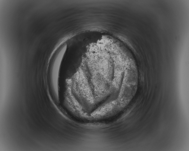 X0000084580630200703231844
