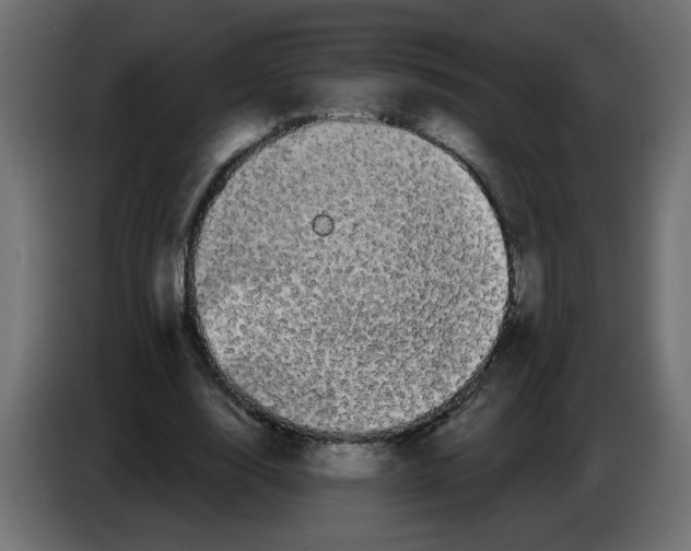 X0000084580632200703231844