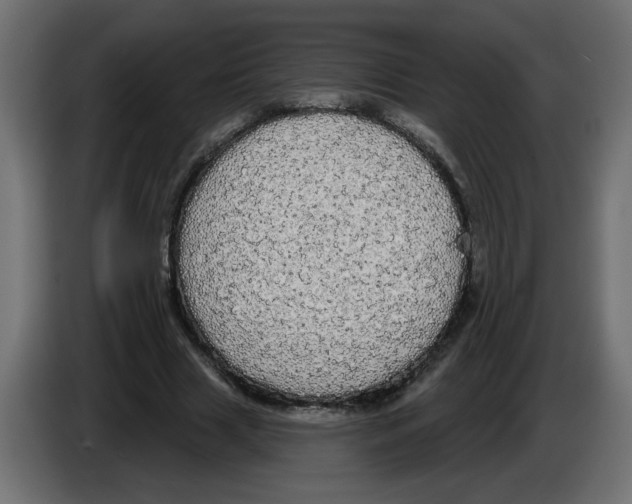 X0000084580633200703231844