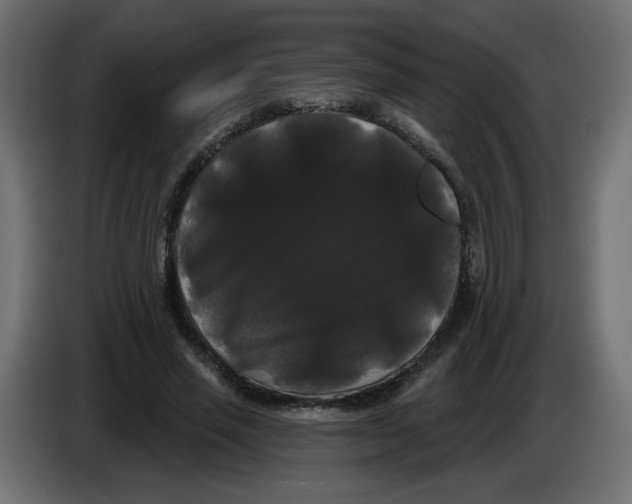 X0000084580637200703231844