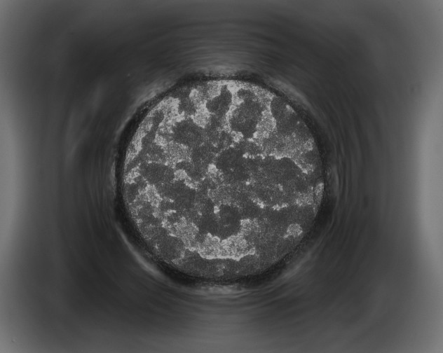 X0000084580638200703231844