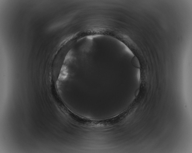 X0000084580640200703231844