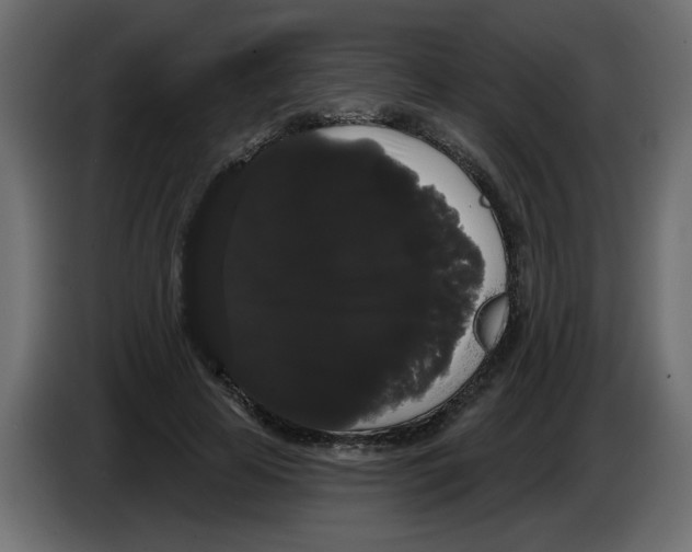 X0000084580641200703231844