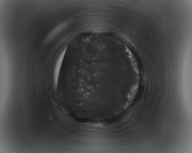 X0000084580643200703231844