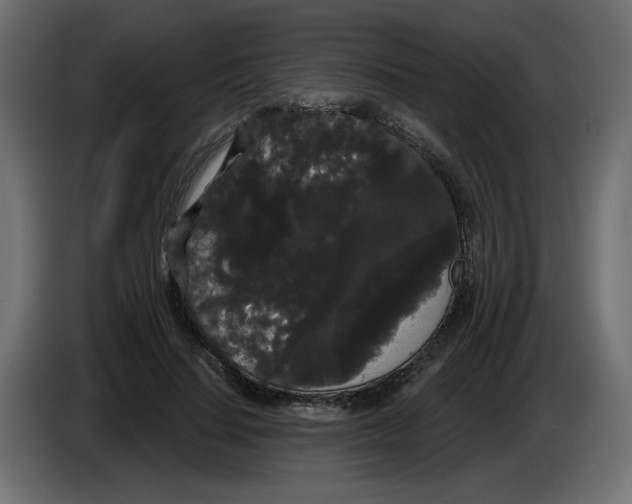 X0000084580644200703231844